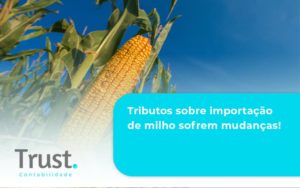 Tributos Sobre Importação De Milho Sofrem Mudanças! Trust Contabilidade - Trust Contabilidade